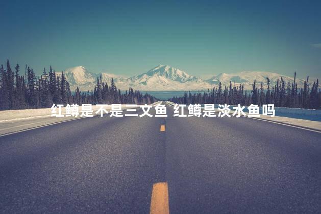 红鳟是不是三文鱼 红鳟是淡水鱼吗